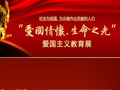 ����ɽ����11