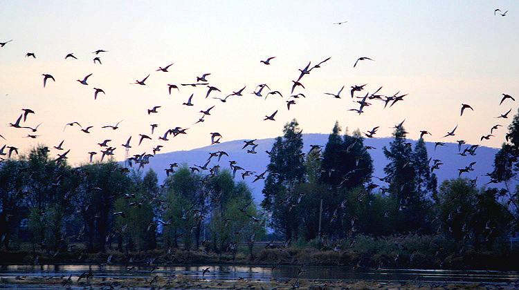 Qc — СB - xiaofang - ŵĲ