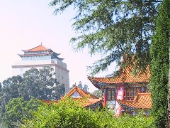 2013ɽ P(gun)Є(dng)